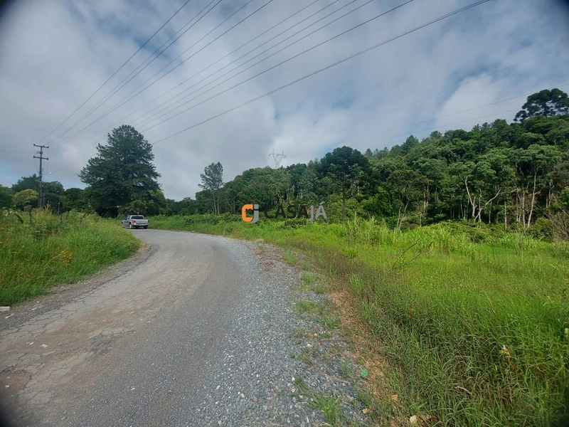 TERRENO FRENTE BR 277: 2ª foto da galeria de imagens do imóvel