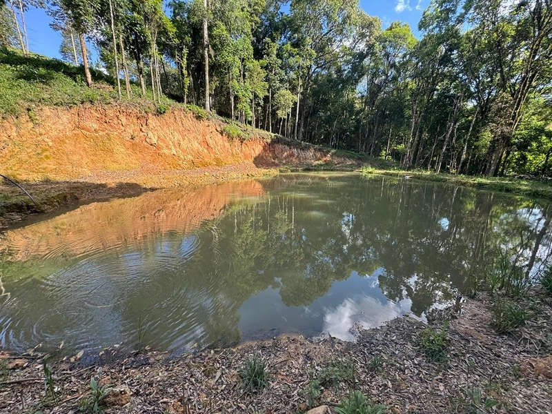 CHÁCARA FORMADA, 500m ESTRADA DE CHÃO, VISTA PARA SERRA DE SÃO LUIZ DO PURUNÃ: 15ª foto da galeria de imagens do imóvel