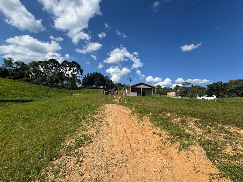CHÁCARA FORMADA, 500m ESTRADA DE CHÃO, VISTA PARA SERRA DE SÃO LUIZ DO PURUNÃ: 14ª foto da galeria de imagens do imóvel
