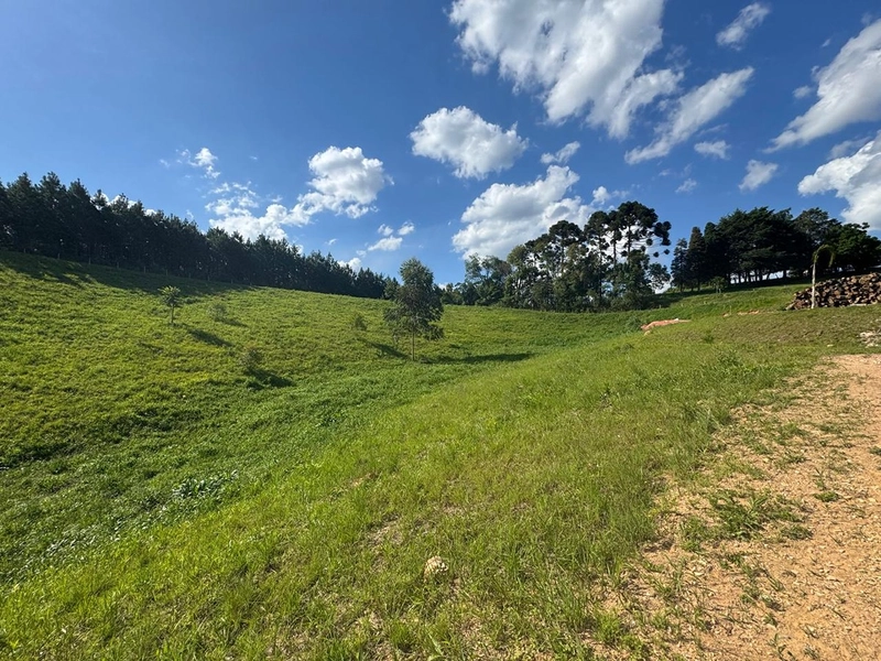 CHÁCARA FORMADA, 500m ESTRADA DE CHÃO, VISTA PARA SERRA DE SÃO LUIZ DO PURUNÃ: 17ª foto da galeria de imagens do imóvel