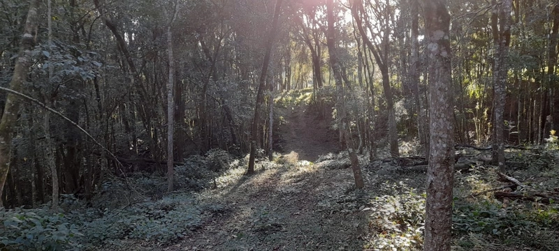 Chácara em condomínio particular na Estrada da Sereia: 26ª foto da galeria de imagens do imóvel