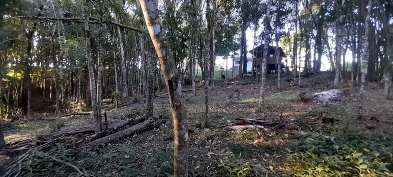 Chácara em condomínio particular na Estrada da Sereia: 27ª foto da galeria de imagens do imóvel