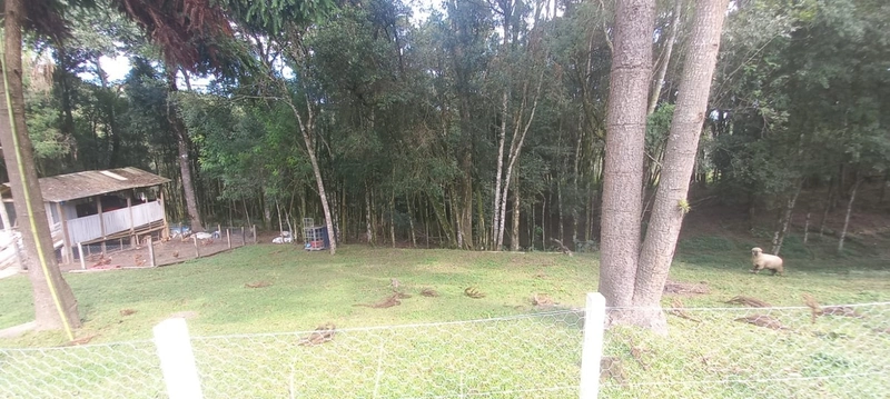 Chácara em condomínio particular na Estrada da Sereia: 16ª foto da galeria de imagens do imóvel