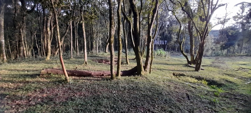 Chácara em condomínio particular na Estrada da Sereia: 32ª foto da galeria de imagens do imóvel