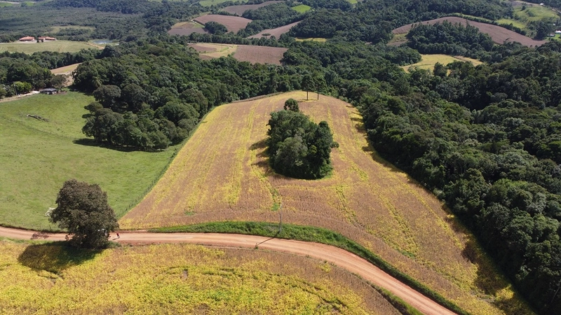 TERRENO PARA FORMAÇÃO DE CHÁCARA / PLANTIO COLÔNIA BALBINO CUNHA: 5ª foto da galeria de imagens do imóvel