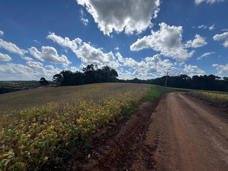 TERRENO PARA FORMAÇÃO DE CHÁCARA / PLANTIO COLÔNIA BALBINO CUNHA: 25ª foto da galeria de imagens do imóvel