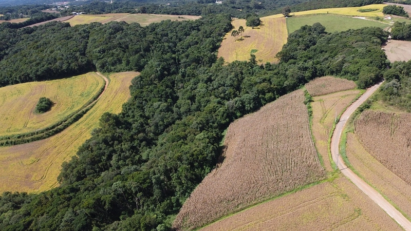TERRENO PARA FORMAÇÃO DE CHÁCARA / PLANTIO COLÔNIA BALBINO CUNHA: 7ª foto da galeria de imagens do imóvel