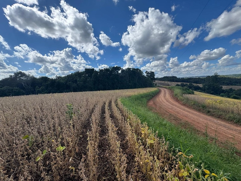 TERRENO PARA FORMAÇÃO DE CHÁCARA / PLANTIO COLÔNIA BALBINO CUNHA: 1ª foto da galeria de imagens do imóvel