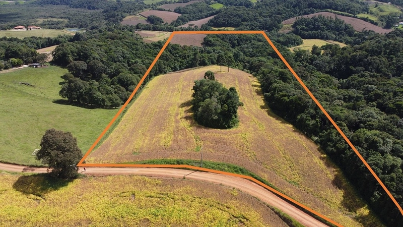 TERRENO PARA FORMAÇÃO DE CHÁCARA / PLANTIO COLÔNIA BALBINO CUNHA: 4ª foto da galeria de imagens do imóvel