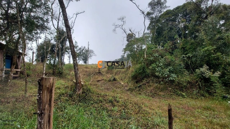 EXCELENTE CHÁCARA PARA PLANTIO, LINDA VISTA E ÁGUA.: 5ª foto da galeria de imagens do imóvel