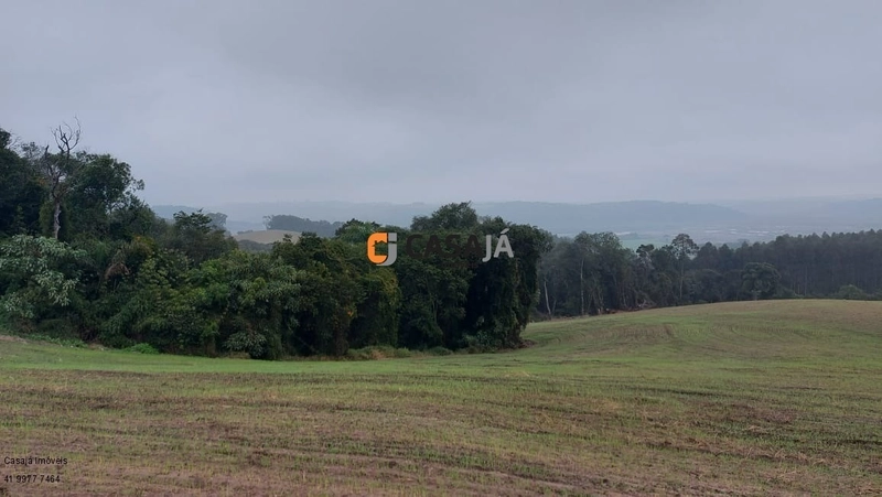 EXCELENTE CHÁCARA PARA PLANTIO, LINDA VISTA E ÁGUA.: 9ª foto da galeria de imagens do imóvel
