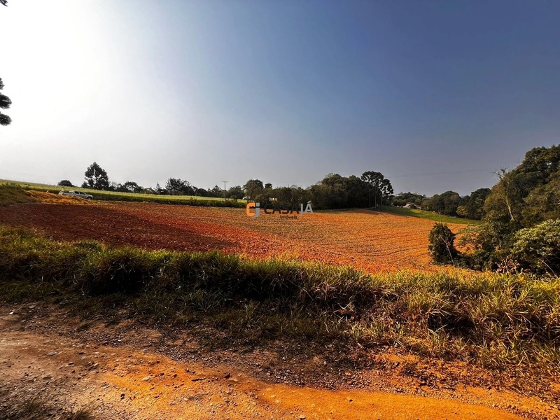 Terreno para Formação de Chácara Próximo ao Centro de Campo Largo: 19ª foto da galeria de imagens do imóvel