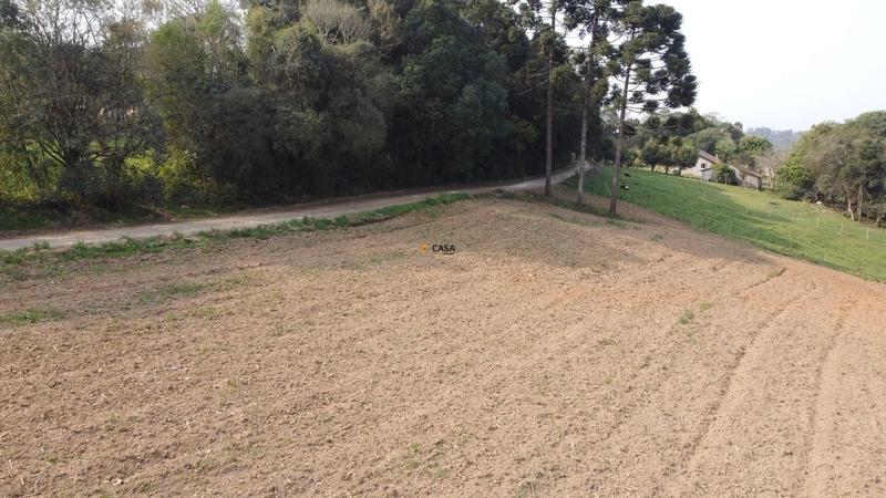Terreno para Formação de Chácara Próximo ao Centro de Campo Largo: 7ª foto da galeria de imagens do imóvel