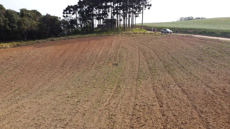 Terreno para Formação de Chácara Próximo ao Centro de Campo Largo: 2ª foto da galeria de imagens do imóvel