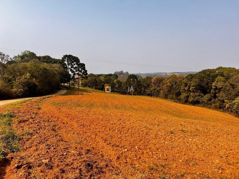 Terreno para Formação de Chácara Próximo ao Centro de Campo Largo: 12ª foto da galeria de imagens do imóvel