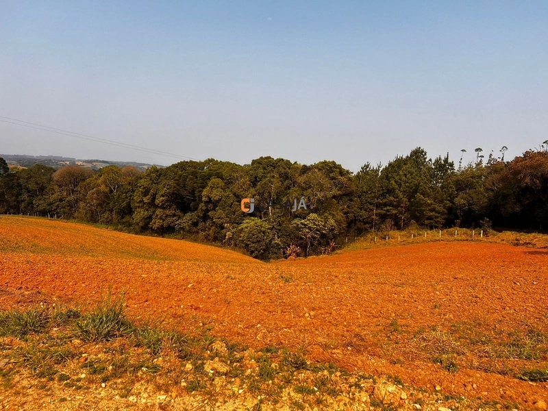 Terreno para Formação de Chácara Próximo ao Centro de Campo Largo: 20ª foto da galeria de imagens do imóvel