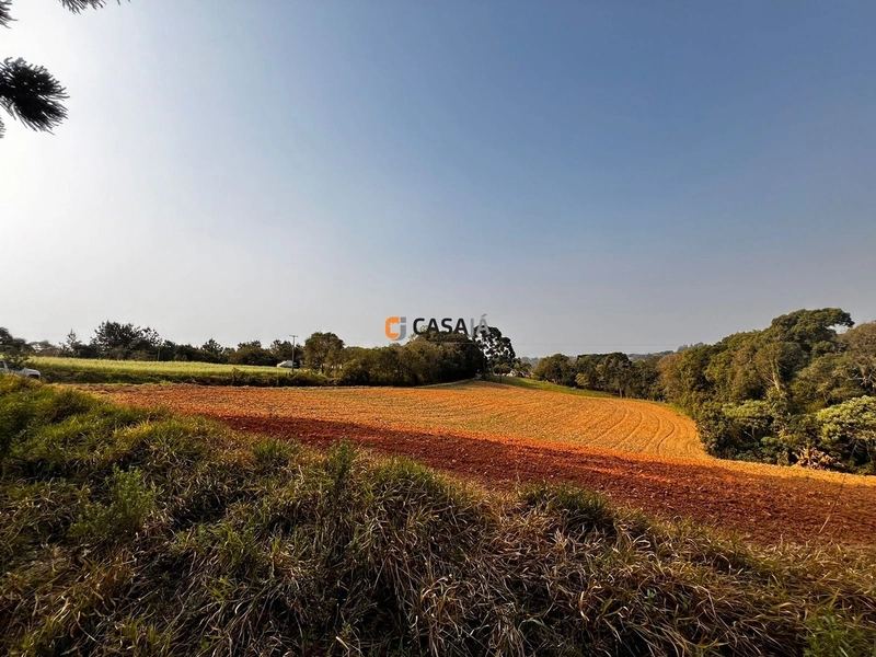 Terreno para Formação de Chácara Próximo ao Centro de Campo Largo: 18ª foto da galeria de imagens do imóvel