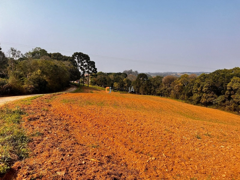 Terreno para Formação de Chácara Próximo ao Centro de Campo Largo: 11ª foto da galeria de imagens do imóvel