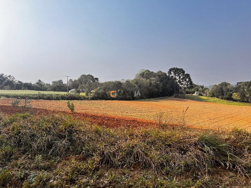 Terreno para Formação de Chácara Próximo ao Centro de Campo Largo: 17ª foto da galeria de imagens do imóvel