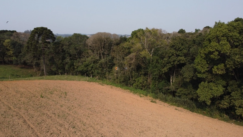 Terreno para Formação de Chácara Próximo ao Centro de Campo Largo: 5ª foto da galeria de imagens do imóvel