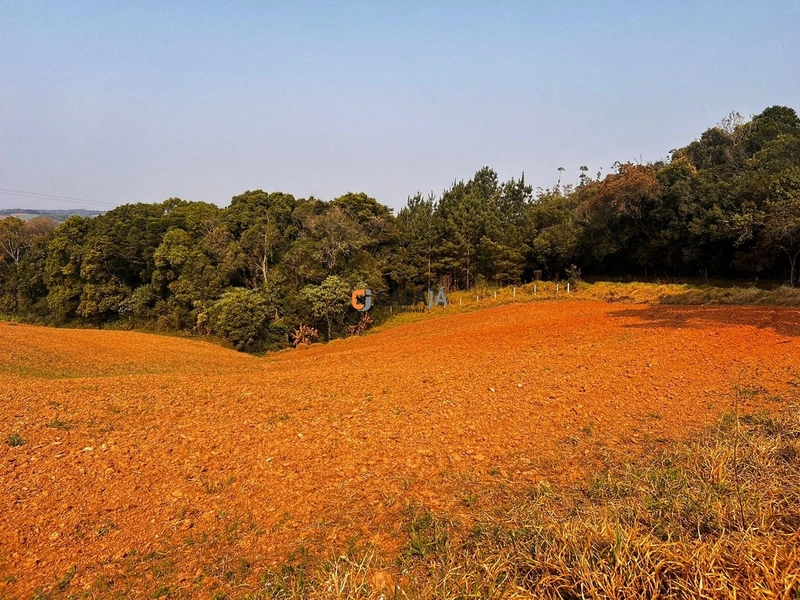 Terreno para Formação de Chácara Próximo ao Centro de Campo Largo: 13ª foto da galeria de imagens do imóvel