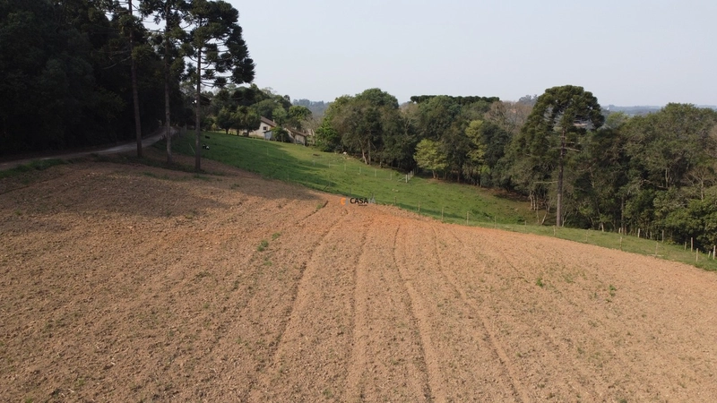 Terreno para Formação de Chácara Próximo ao Centro de Campo Largo: 6ª foto da galeria de imagens do imóvel