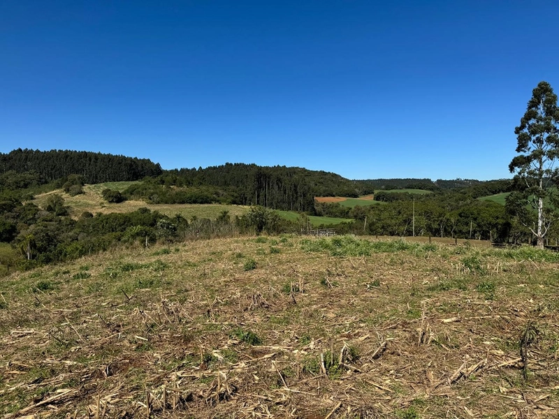 CHÁCARA PRÓXIMO AO CENTRO DA BALSA NOVA, QUASE 6 ALQUEIRES: 11ª foto da galeria de imagens do imóvel