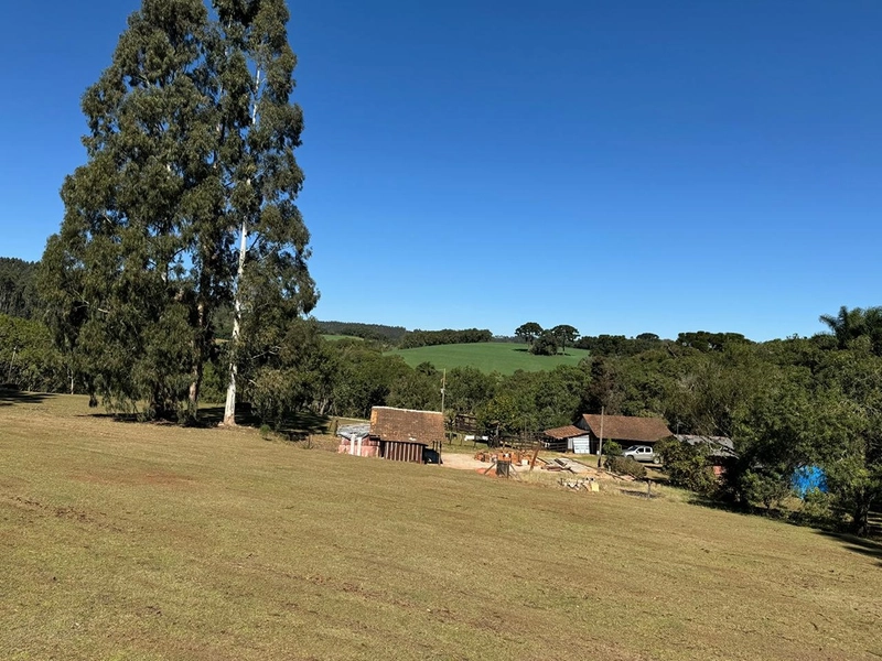 CHÁCARA PRÓXIMO AO CENTRO DA BALSA NOVA, QUASE 6 ALQUEIRES: 14ª foto da galeria de imagens do imóvel