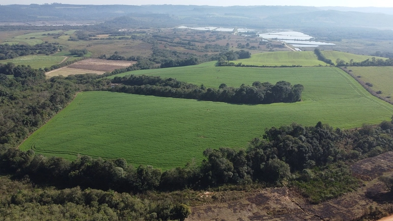 CHÁCARA PRÓXIMO AO CENTRO DA BALSA NOVA, QUASE 6 ALQUEIRES: 56ª foto da galeria de imagens do imóvel