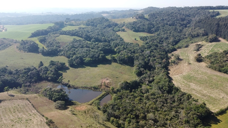 CHÁCARA PRÓXIMO AO CENTRO DA BALSA NOVA, QUASE 6 ALQUEIRES: 58ª foto da galeria de imagens do imóvel
