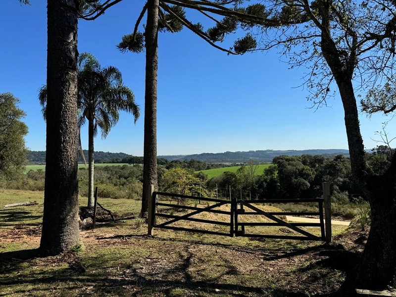 CHÁCARA PRÓXIMO AO CENTRO DA BALSA NOVA, QUASE 6 ALQUEIRES: 16ª foto da galeria de imagens do imóvel