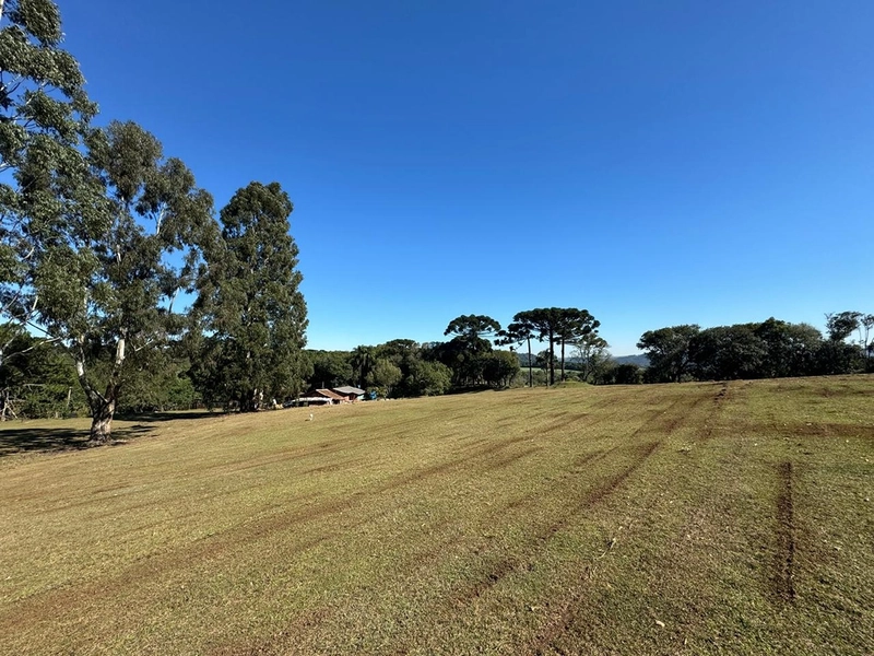 CHÁCARA PRÓXIMO AO CENTRO DA BALSA NOVA, QUASE 6 ALQUEIRES: 4ª foto da galeria de imagens do imóvel