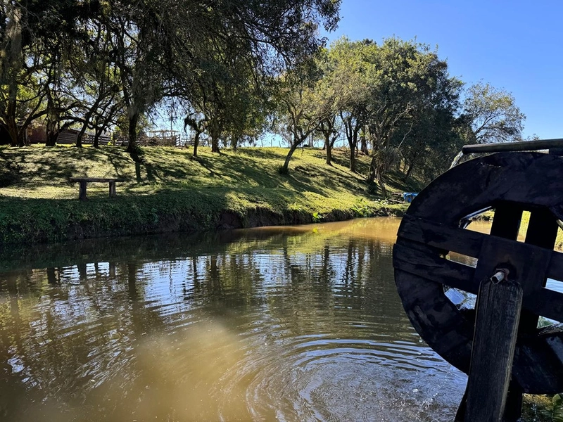 CHÁCARA PRÓXIMO AO CENTRO DA BALSA NOVA, QUASE 6 ALQUEIRES: 21ª foto da galeria de imagens do imóvel