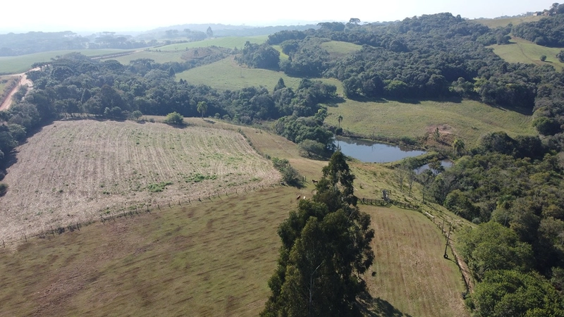 CHÁCARA PRÓXIMO AO CENTRO DA BALSA NOVA, QUASE 6 ALQUEIRES: 55ª foto da galeria de imagens do imóvel
