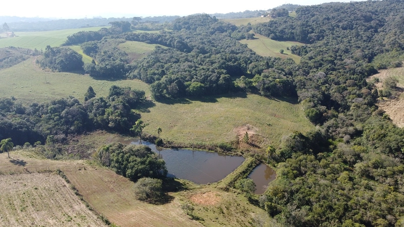CHÁCARA PRÓXIMO AO CENTRO DA BALSA NOVA, QUASE 6 ALQUEIRES: 64ª foto da galeria de imagens do imóvel