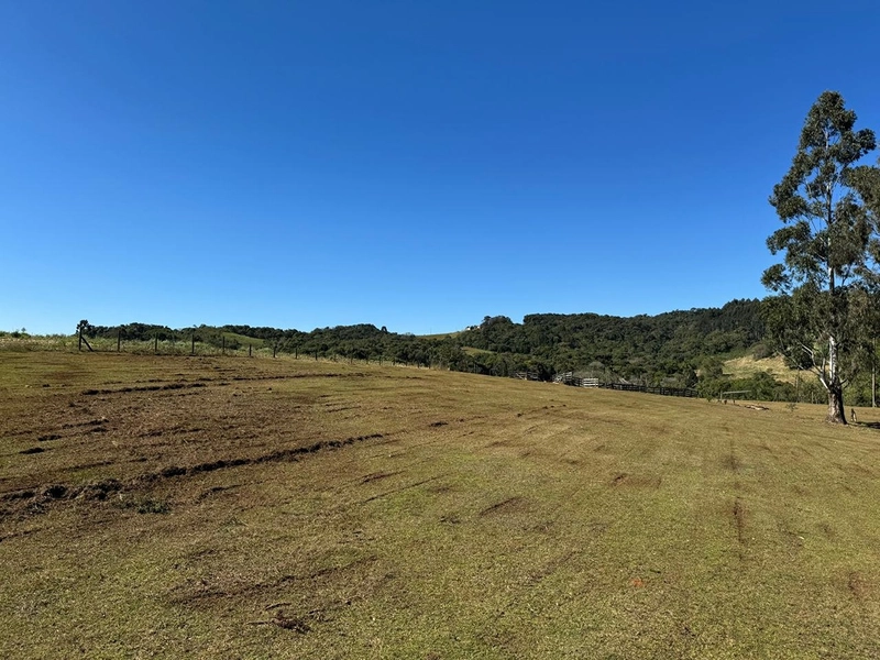 CHÁCARA PRÓXIMO AO CENTRO DA BALSA NOVA, QUASE 6 ALQUEIRES: 8ª foto da galeria de imagens do imóvel