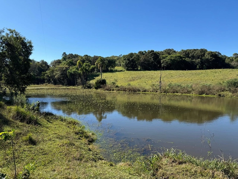 CHÁCARA PRÓXIMO AO CENTRO DA BALSA NOVA, QUASE 6 ALQUEIRES: 42ª foto da galeria de imagens do imóvel