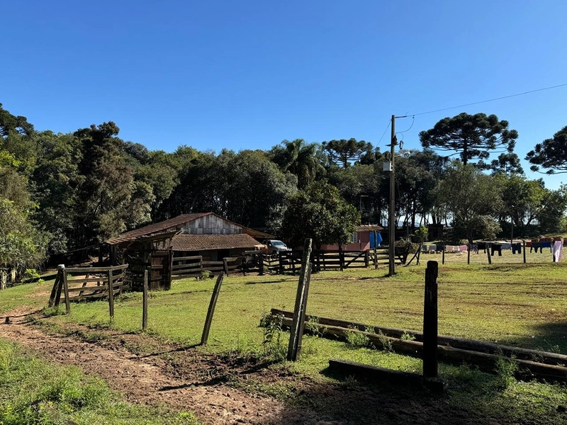 CHÁCARA PRÓXIMO AO CENTRO DA BALSA NOVA, QUASE 6 ALQUEIRES: 35ª foto da galeria de imagens do imóvel