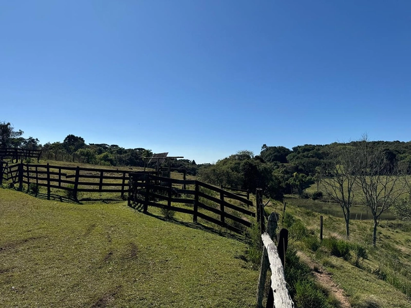 CHÁCARA PRÓXIMO AO CENTRO DA BALSA NOVA, QUASE 6 ALQUEIRES: 36ª foto da galeria de imagens do imóvel