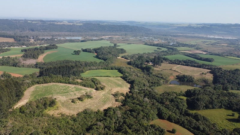 CHÁCARA PRÓXIMO AO CENTRO DA BALSA NOVA, QUASE 6 ALQUEIRES: 66ª foto da galeria de imagens do imóvel