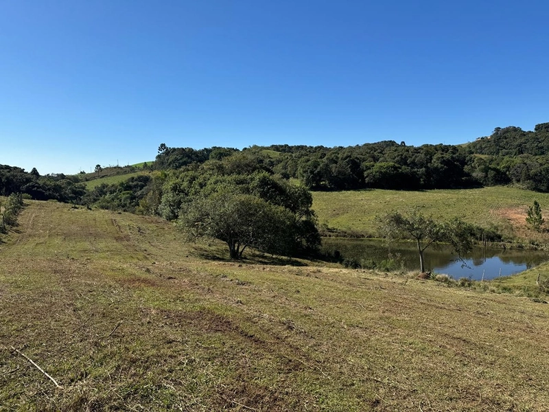 CHÁCARA PRÓXIMO AO CENTRO DA BALSA NOVA, QUASE 6 ALQUEIRES: 46ª foto da galeria de imagens do imóvel