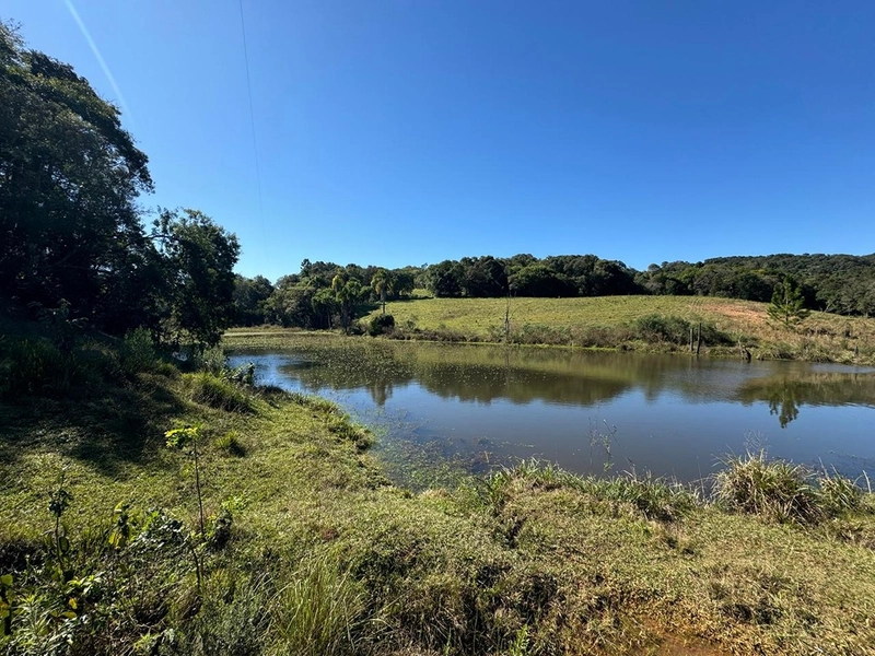 CHÁCARA PRÓXIMO AO CENTRO DA BALSA NOVA, QUASE 6 ALQUEIRES: 41ª foto da galeria de imagens do imóvel