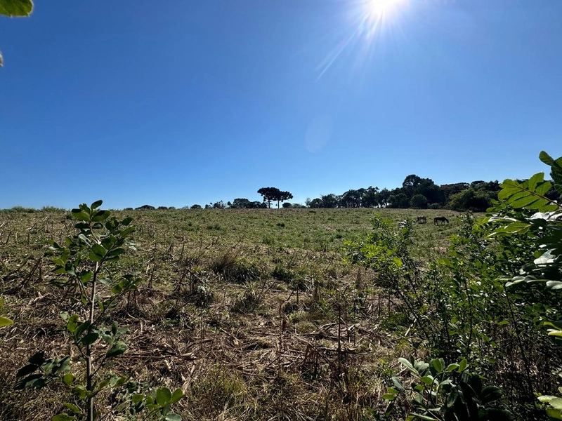CHÁCARA PRÓXIMO AO CENTRO DA BALSA NOVA, QUASE 6 ALQUEIRES: 19ª foto da galeria de imagens do imóvel