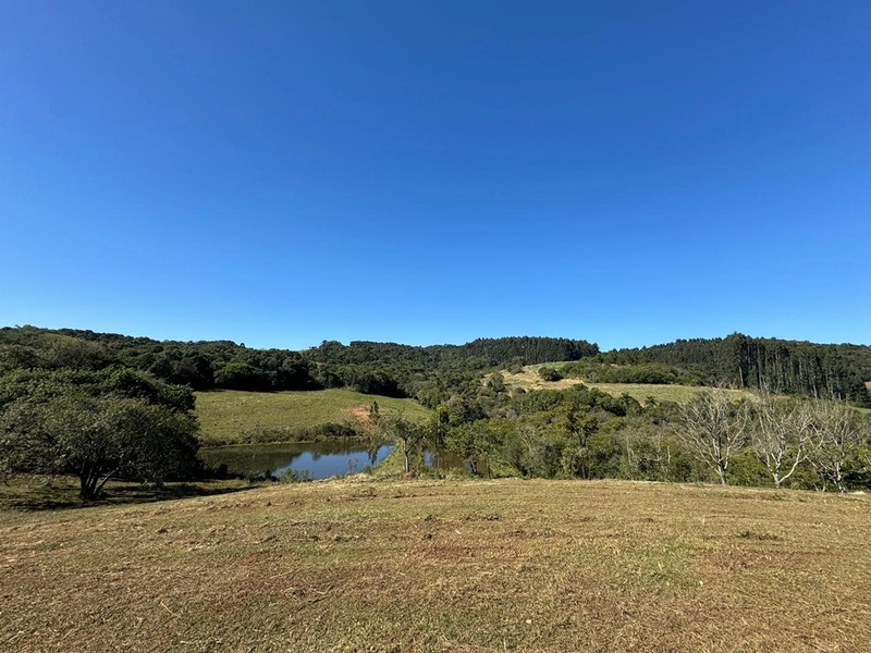 CHÁCARA PRÓXIMO AO CENTRO DA BALSA NOVA, QUASE 6 ALQUEIRES: 43ª foto da galeria de imagens do imóvel