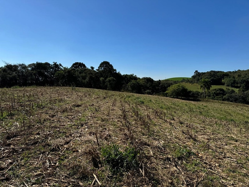 CHÁCARA PRÓXIMO AO CENTRO DA BALSA NOVA, QUASE 6 ALQUEIRES: 12ª foto da galeria de imagens do imóvel