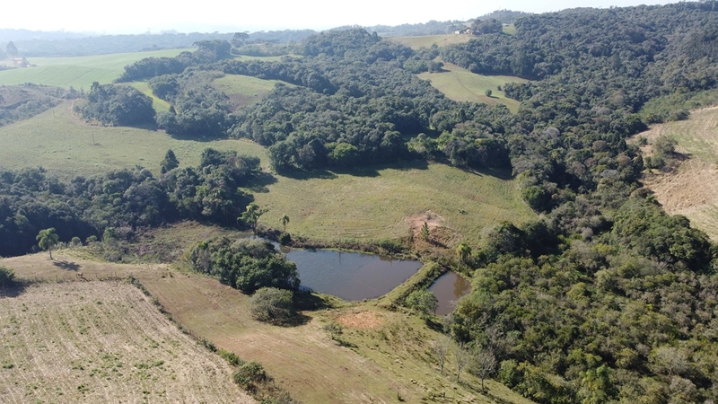 CHÁCARA PRÓXIMO AO CENTRO DA BALSA NOVA, QUASE 6 ALQUEIRES: 63ª foto da galeria de imagens do imóvel