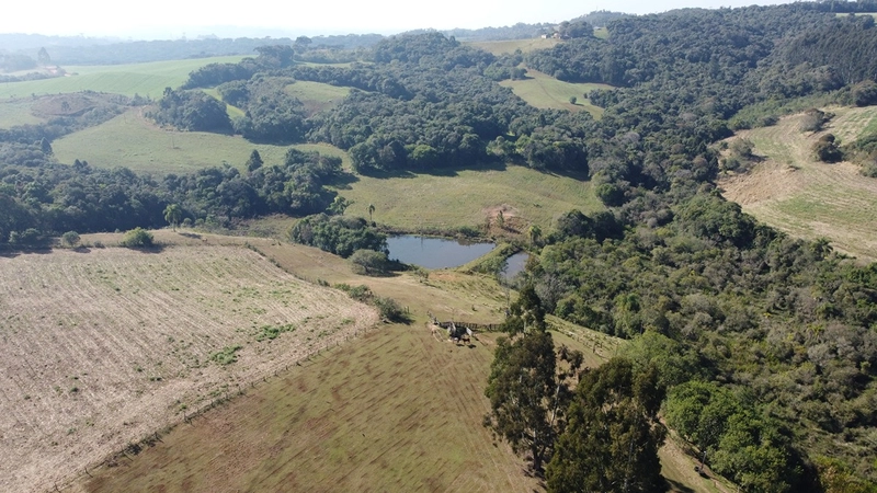 CHÁCARA PRÓXIMO AO CENTRO DA BALSA NOVA, QUASE 6 ALQUEIRES: 62ª foto da galeria de imagens do imóvel
