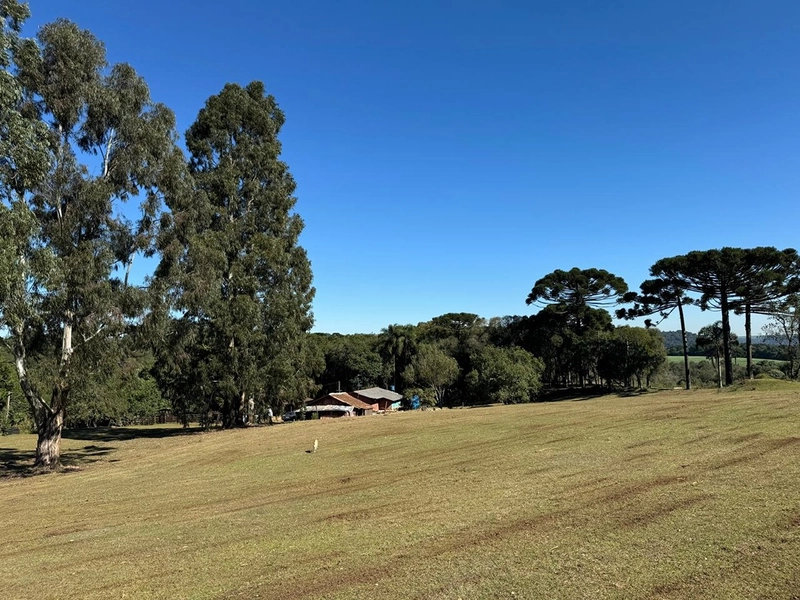 CHÁCARA PRÓXIMO AO CENTRO DA BALSA NOVA, QUASE 6 ALQUEIRES: 50ª foto da galeria de imagens do imóvel