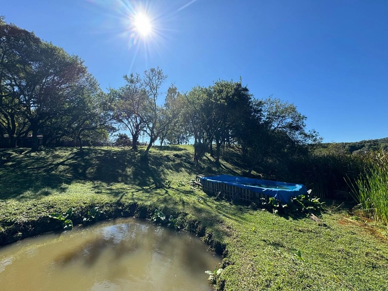 CHÁCARA PRÓXIMO AO CENTRO DA BALSA NOVA, QUASE 6 ALQUEIRES: 33ª foto da galeria de imagens do imóvel