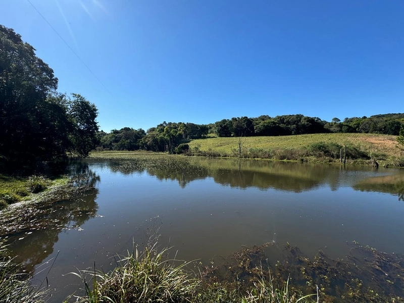 CHÁCARA PRÓXIMO AO CENTRO DA BALSA NOVA, QUASE 6 ALQUEIRES: 2ª foto da galeria de imagens do imóvel